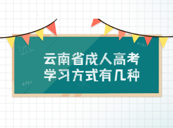 云南省成人高考学习方式