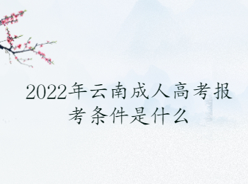 2022年云南成人高考报考条件