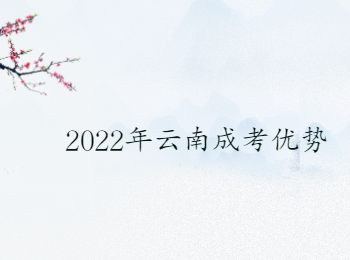 2022年云南成考优势