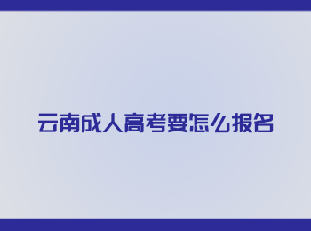 云南成人高考要怎么报名