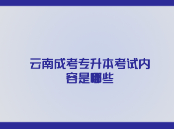 云南成考专升本考试内容