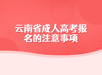 云南省成人高考报名