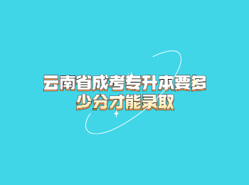 云南省成考专升本 云南省成考