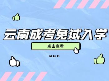 云南成人高考