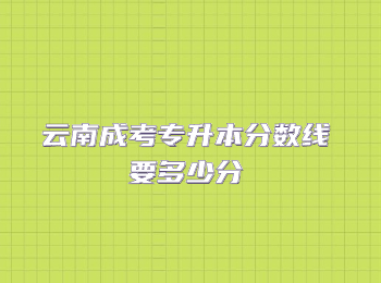 云南成考专升本分数线