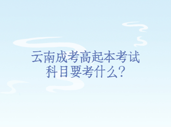 云南成考高起本考试科目