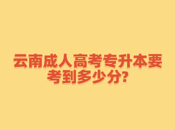 云南成人高考专升本