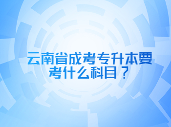 云南省成考专升本 云南成考