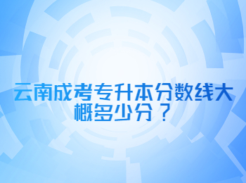 云南成考专升本分数线