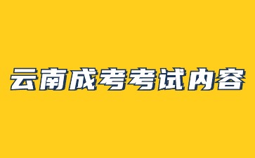 2024年云南成考考试内容是什么？