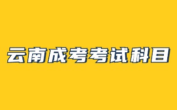 2024年云南成考考试层次科目有哪些?