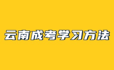 204年云南成人高考语文答题技巧