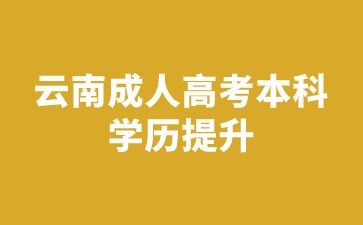 2024年云南成人高考本科毕业可以继续读研吗？