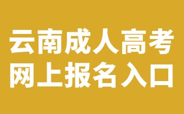 2024年云南成人高考网上报名入口官网