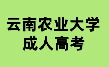 2024年云南农业大学成人高考本科毕业可以参加考研吗？