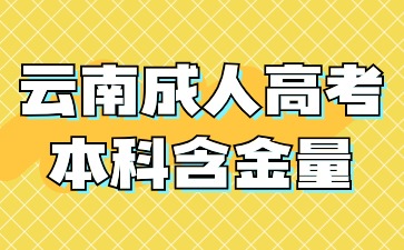 2024年云南成人高考本科学历毕业含金量怎么样？