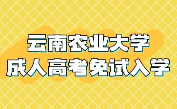 2024年云南农业大学成人高考那些人可以免试入学？