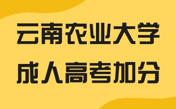 2024年云南农业大学成人高考报名有加分吗？