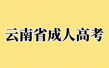 2024年云南成考学历与统招学历是等同效力吗?